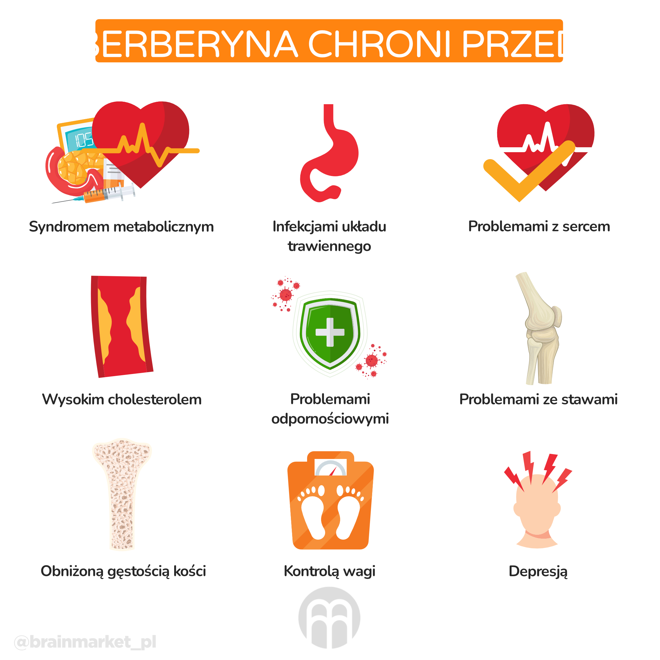 berberin chrani_infografika_pl
